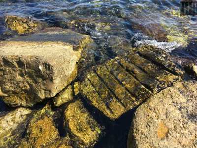 Il 60enne Luigi ci avverte per� degli aspetti critici dell�Angolo del Paradiso. �� un po' pericoloso farsi il bagno se non si � abituati - sottolinea -: la maggior parte degli scogli risultano infatti scivolosi per via delle alghe...